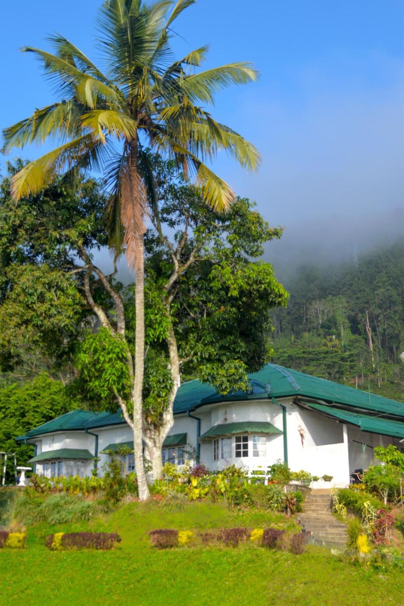 Hatale Tea Estate Bungalow Madulkele Екстер'єр фото