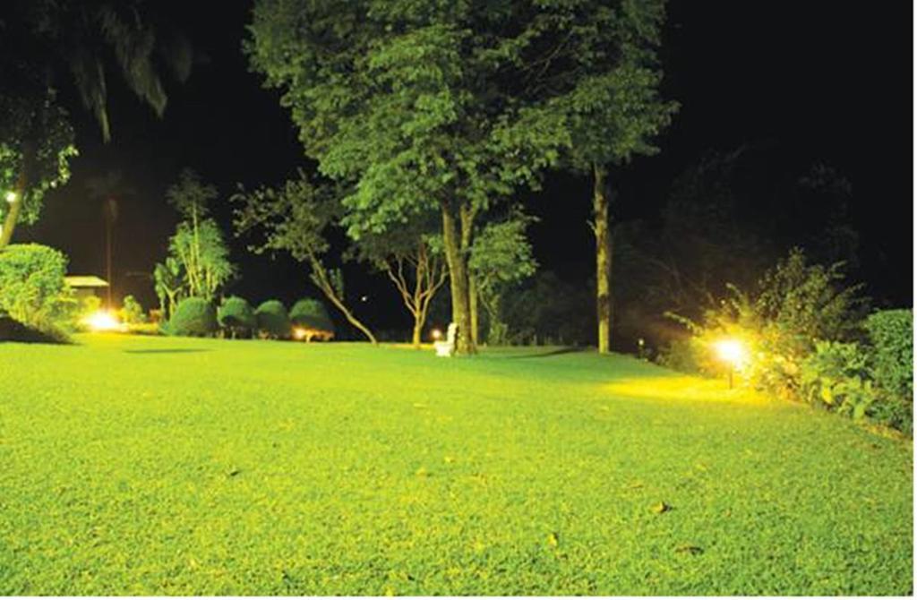 Hatale Tea Estate Bungalow Madulkele Екстер'єр фото